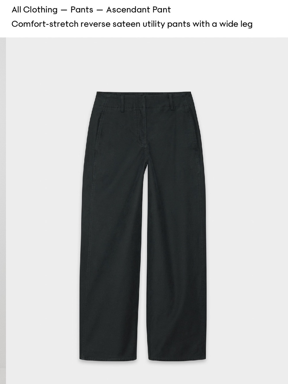 Aritzia Ascendant Pant